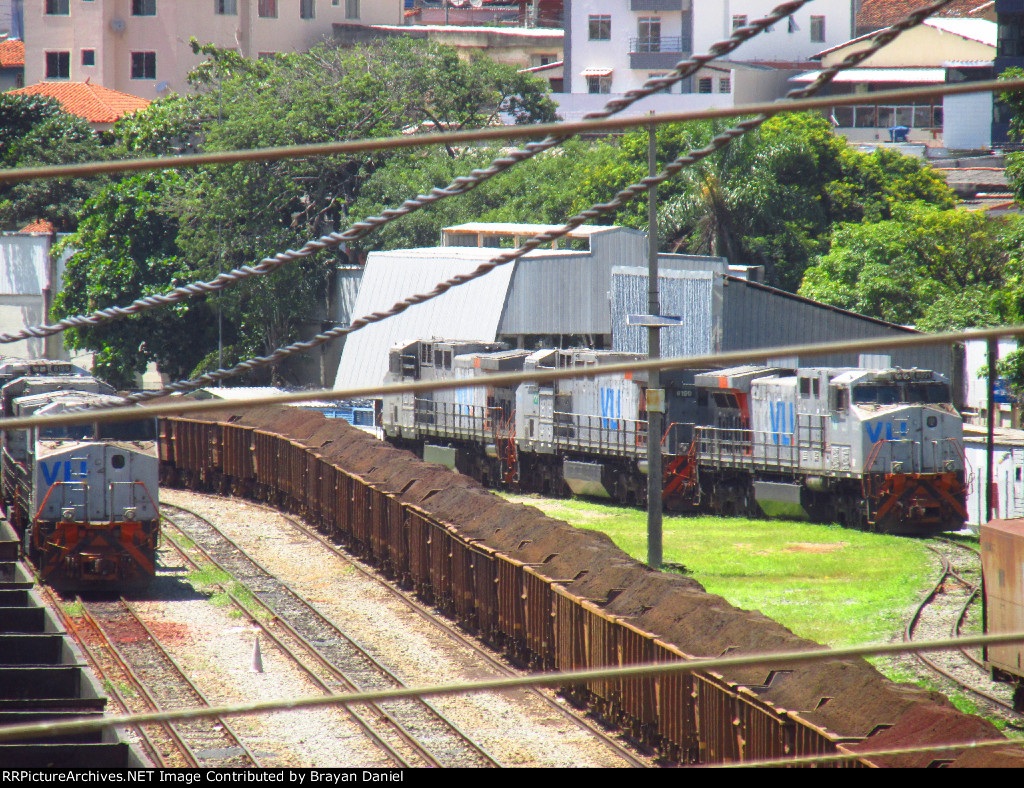 VLI 6031